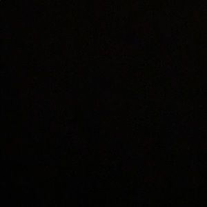 Meet your Posher, Lily